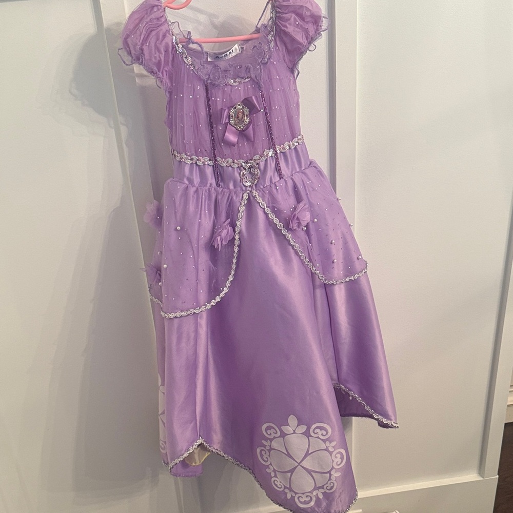 Disney’s Princess Sophia Kids Costume